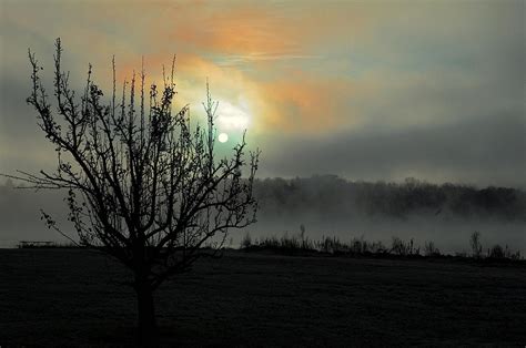 Dawn On A Foggy Morning Photograph By James Defazio Fine Art America