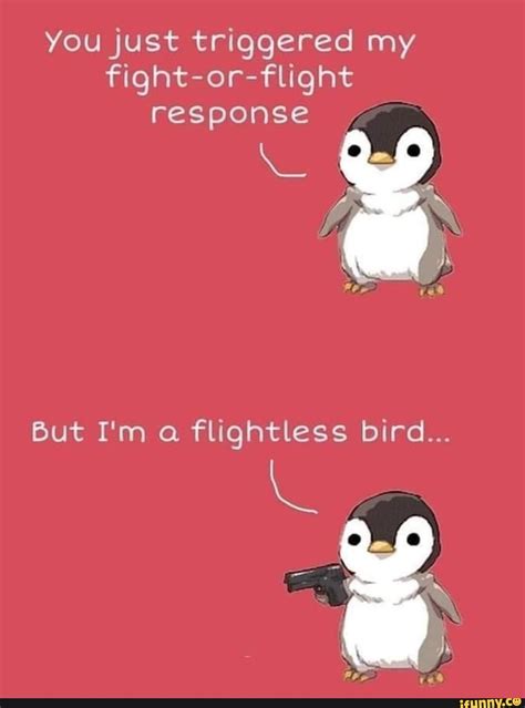 You Just Triggered My Fight Or Flight Response Hs But I M A Flightless Bird Ifunny