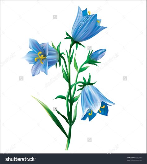 Blue Bellflower Clipart 20 Free Cliparts Download Images On