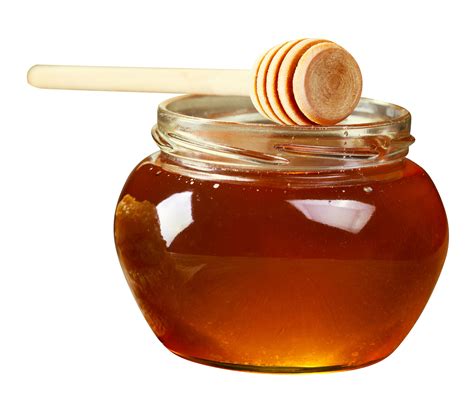Honey Png Image For Free Download