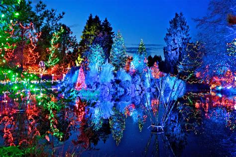 Festival Of Lights At Vandusen Botanical Gardens My Vancity
