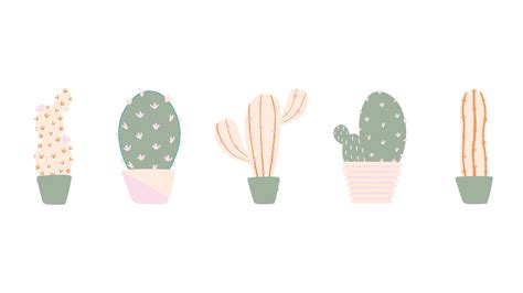 Cactus Aesthetic Computer Wallpapers Top Free Cactus Aesthetic