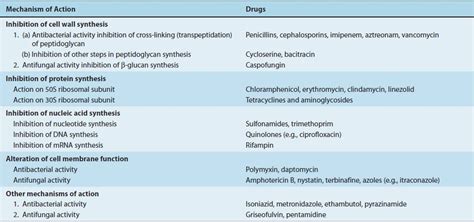 Antimicrobial Drugs Mechanism Of Action Basicmedical Key