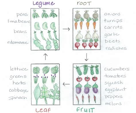 Crop Rotation Made Easy Bonnie Plants