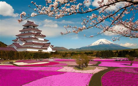 Trip To Japan Cherry Blossoms Mount Fuji And Thermal Baths Magazine