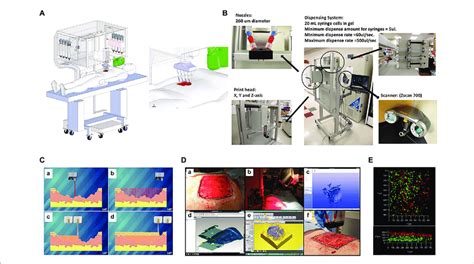 Skin Bioprinter Prototype And In Situ Bioprinting Concept A