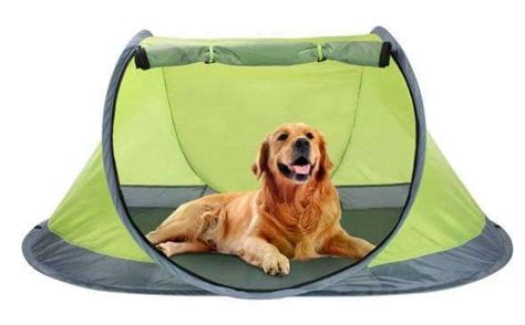 18 Best Dog Tents And Pop Up Pet Tents The Tent Hub Dog Tent Tent