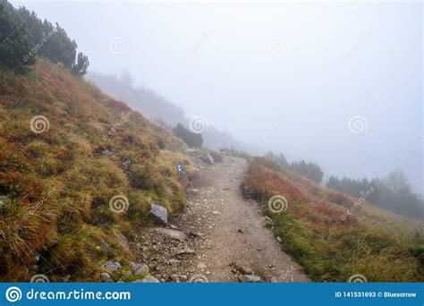 Tourist Hiking Trail In Foggy Misty Day With Rain Stock Image Image