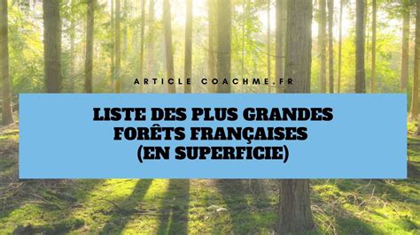 Top 16 Des Plus Grandes Forêts Françaises En Superficie