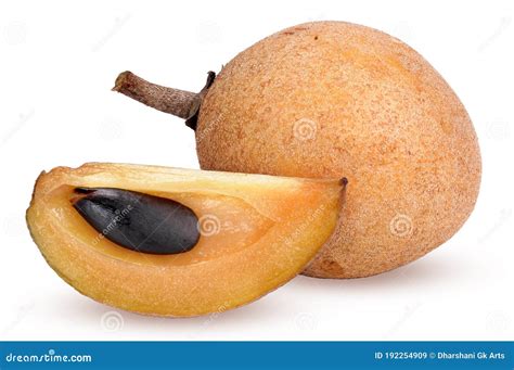 Sapodilla Fruit Stock Image Image Of Chiku Seeds Pineapple 192254909