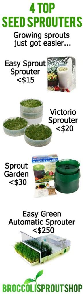 4 Top Seed Sprouters For Growing Sprouts