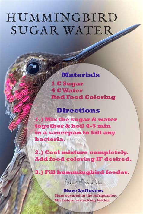 How To Get Hummingbirds To Nest By You Nikki Lynn Design Humming