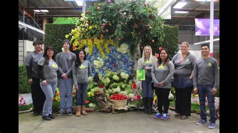 Orchid lei (single) the simplicity of our beautiful dendrobium hawaiian lei make this purple creation our number one best seller. Mayesh Orange County Flower Wall Collective Design Time ...