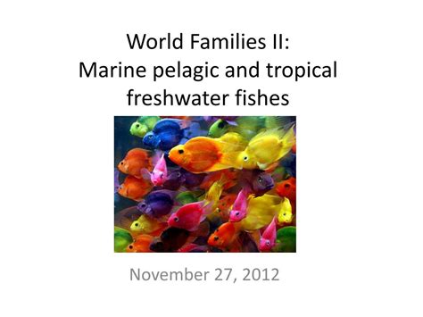 Ppt World Families Ii Marine Pelagic And Tropical Freshwater Fishes