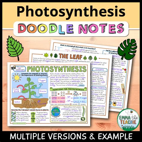 Photosynthesis Doodle Notes Emmatheteachie