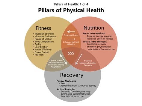 The Three Pillars Of Physical Health Fitness Nutrition And Recovery