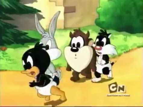 Pin By Jeffrey Gayle Hay On Baby Looney Tunes Baby Looney Tunes