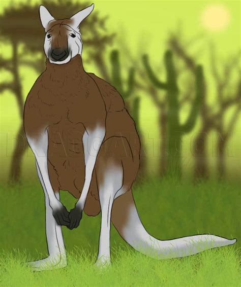 Art print by rosemary calvert. How To Draw A Kangaroo, Step by Step, Drawing Guide, by ...