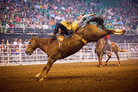 5 Ways A Utah Rodeo Is Keeping A Legacy Alive