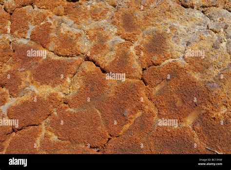 Acid Soil Hi Res Stock Photography And Images Alamy