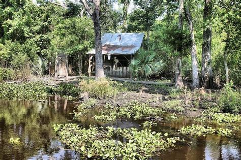 Our cabins are situated on the edge of a beautiful hardwood forest with a view of grand bayou reservoir. Louisiana Swamp Cabins | Cabin In Swamp Photograph by ...