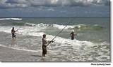 Free Saltwater Fishing License Ny Images