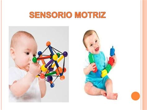 Actividad Sensorio Motriz