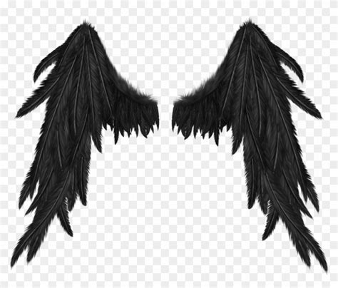 Demon Wings No Background Hd Png Download 1024x10241377626 Pngfind