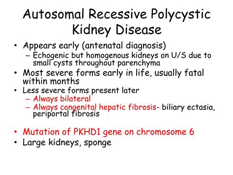 Ppt Inherited Of Renal System Disorders Powerpoint Presentation Free