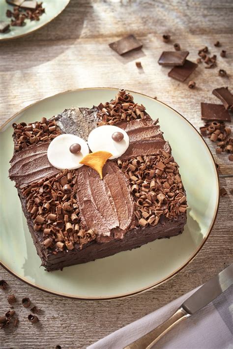 Find & download free graphic resources for cake. Owl Cake Step by Step Recipe and Easy Cake Decoration - In The Playroom
