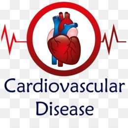 Cardiovascular Disease PNG & Cardiovascular Disease Transparent Clipart ...