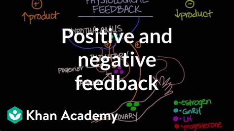 Physiological Concept Of Positive And Negative Feedback Behavior