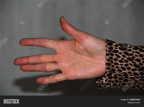 View Girls Hand Palm Image And Photo Free Trial Bigstock