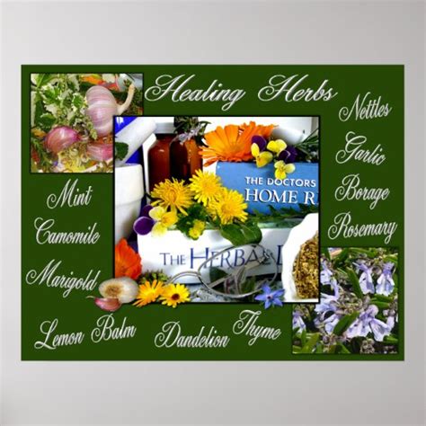 Healing Herbs ~ Poster