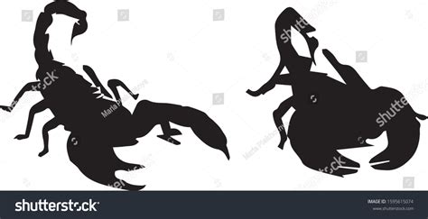 Black Silhouettes Scorpion Isolated On White เวกเตอร์สต็อก ปลอดค่า