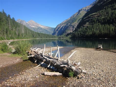 Smoky Scouts Hiking Adventures Glacier National Park Avalanche Lake