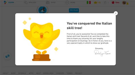 Everything You Need To Know About Duolingo Golden Owls Happily Ever
