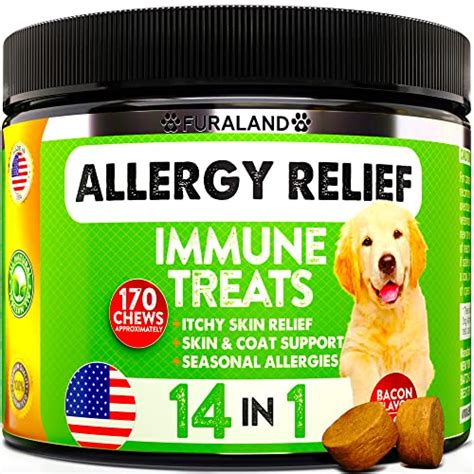 Top 10 Best Allergy Relief For Dogs Based On User Rating My Trenditex