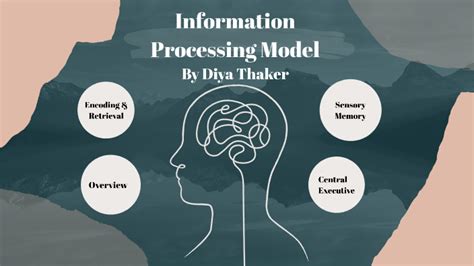 Information Processing Model By Diya Thaker On Prezi