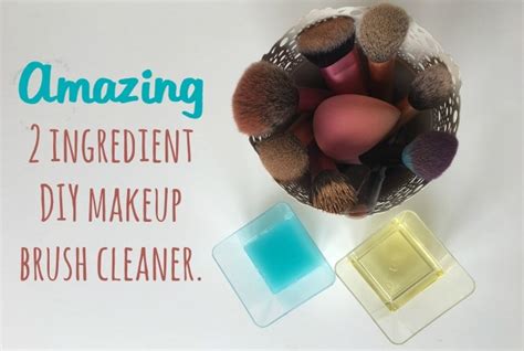 Amazing Two Ingredient Homemade Makeup Brush Cleaner The Diary Of