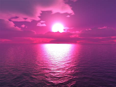 Purple sunset by zaneyboy on DeviantArt