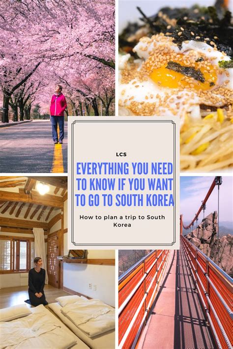 Everything You Need To Know If You Want To Go To South Korea Southkorea Korea Travel