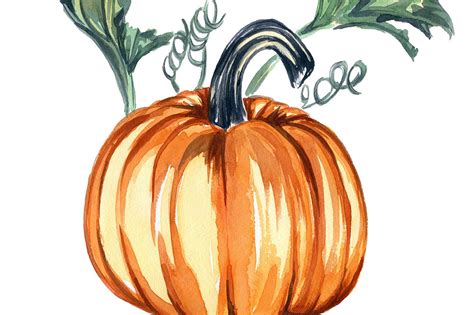 Pumpkin Watercolor Print