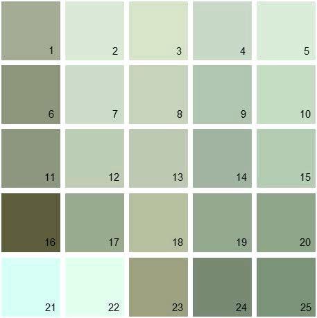 Sage Paint Best Sage Green Paint Ideas On Sage Color Palette