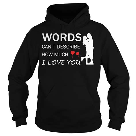 Words Cant Describe How Much I Love You Shirt Hoodie And V Neck T Shirt