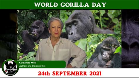 Conservation Through Public Health World Gorilla Day Message From