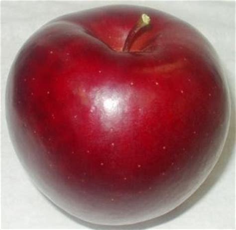 Making applesauce, apple crisp, apple pie or just want to know what are the best apples for eating fresh? titdilapa: Apple Varieties
