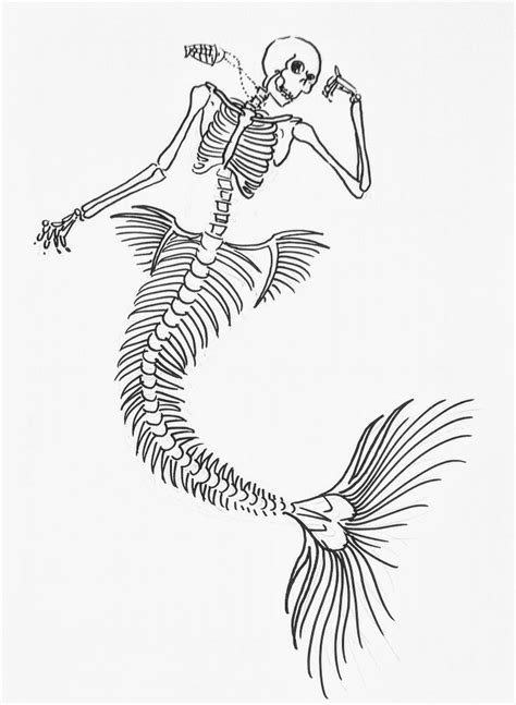 Mermaid Skeleton Mermaid Tattoos Mermaid Skeleton Mermaid Skeleton