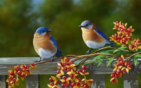 Cute Lovely Nice Birds Sitting On Beautiful Flowers Stem Aww