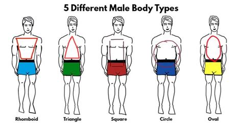 key factors to dress according to body type body types mens body types mens outfits